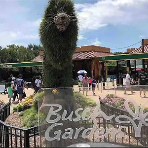 Minutes To Fairgrounds, Hard Rock, & Busch Gardens Tampa